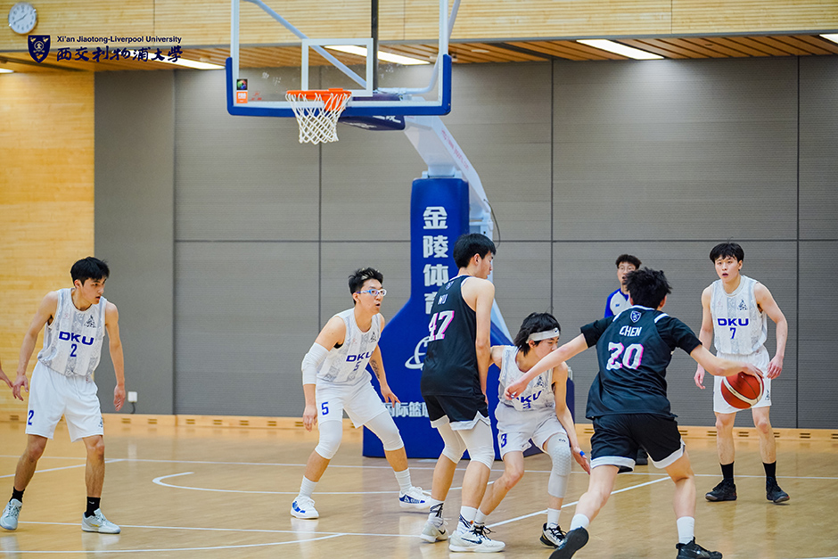 德甲战报：伯格1射1传，霍芬海姆3-0完胜奥格斯堡