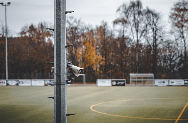 这位年轻的 这位年轻的