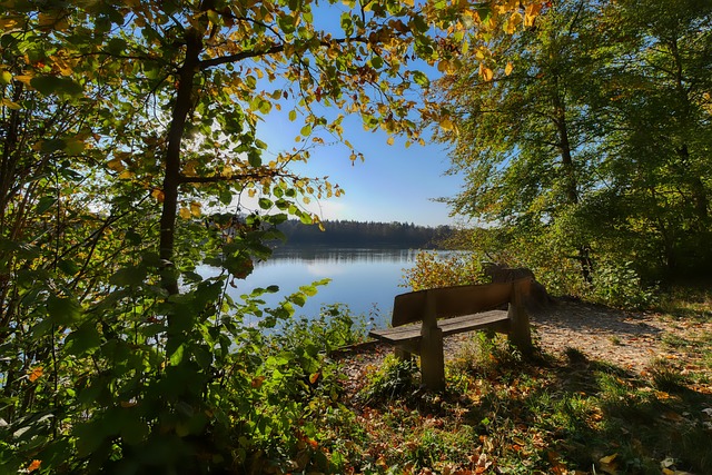 甚至吸引了 甚至吸引了