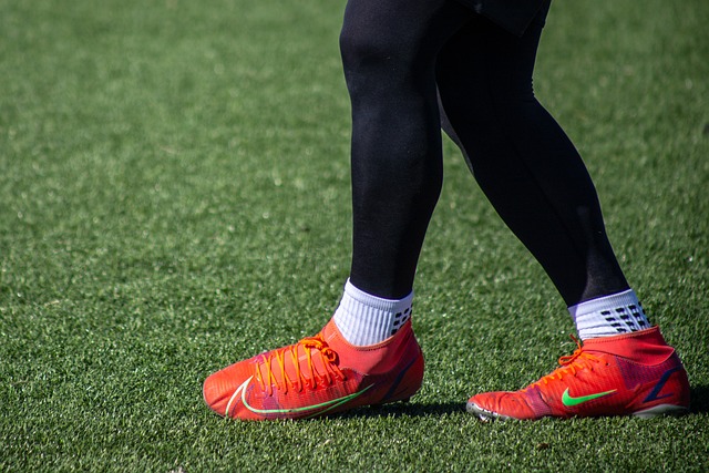 涯逐渐进入 涯逐渐进入