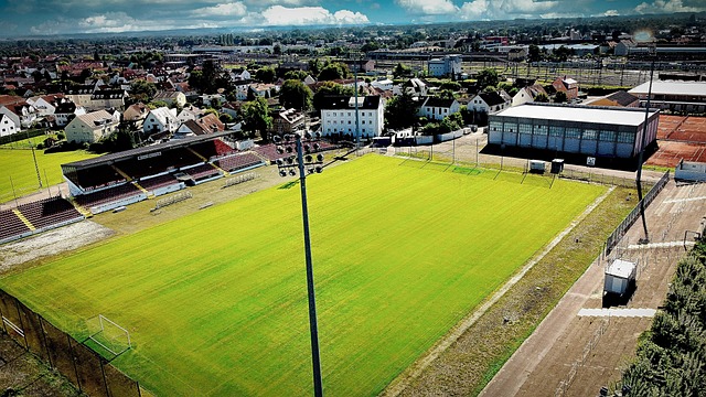 运动员在高 运动员在高