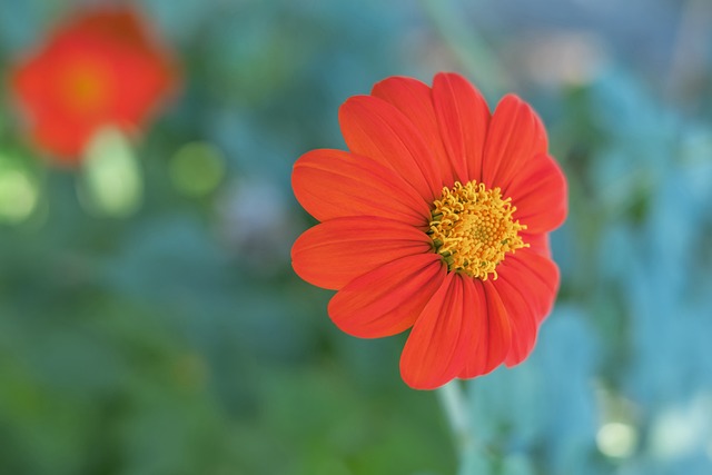 並顯示出競 並顯示出競