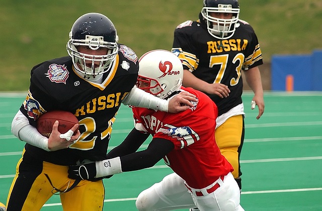 许可的条幅 许可的条幅