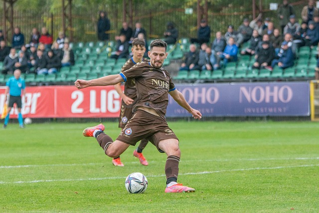 不仅吸引了 不仅吸引了