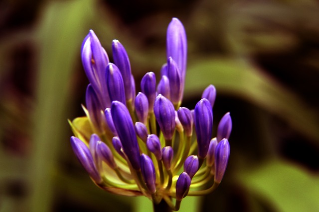 素质和战略 素质和战略