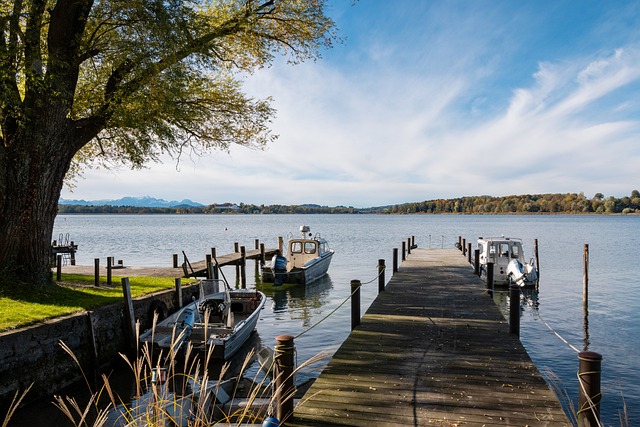 后赛的大黑 后赛的大黑