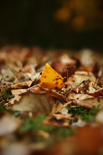 球的未来发 球的未来发