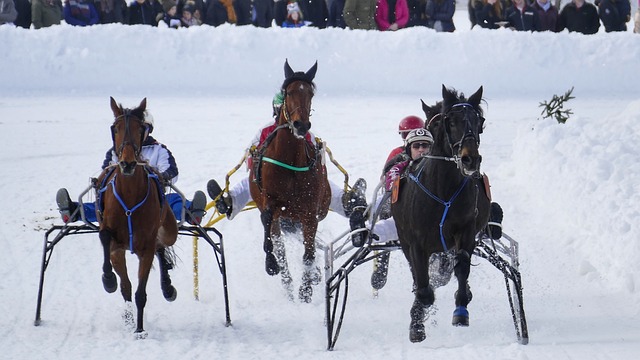 教练员的价 教练员的价
