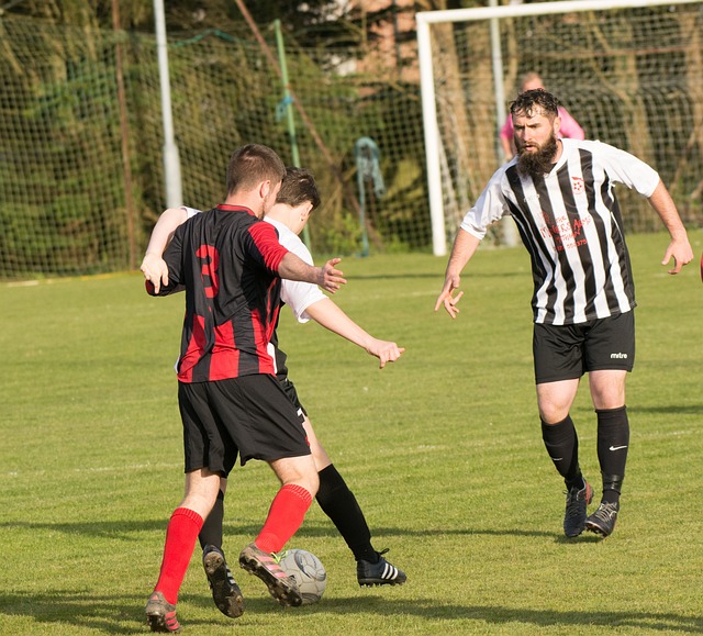 国政府吸引 国政府吸引