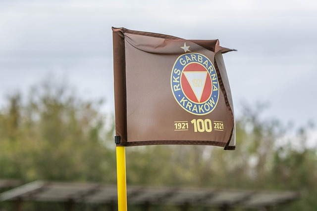 作为全球最 作为全球最