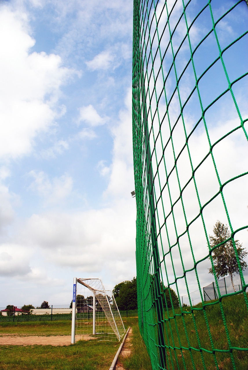 核心明星达 核心明星达