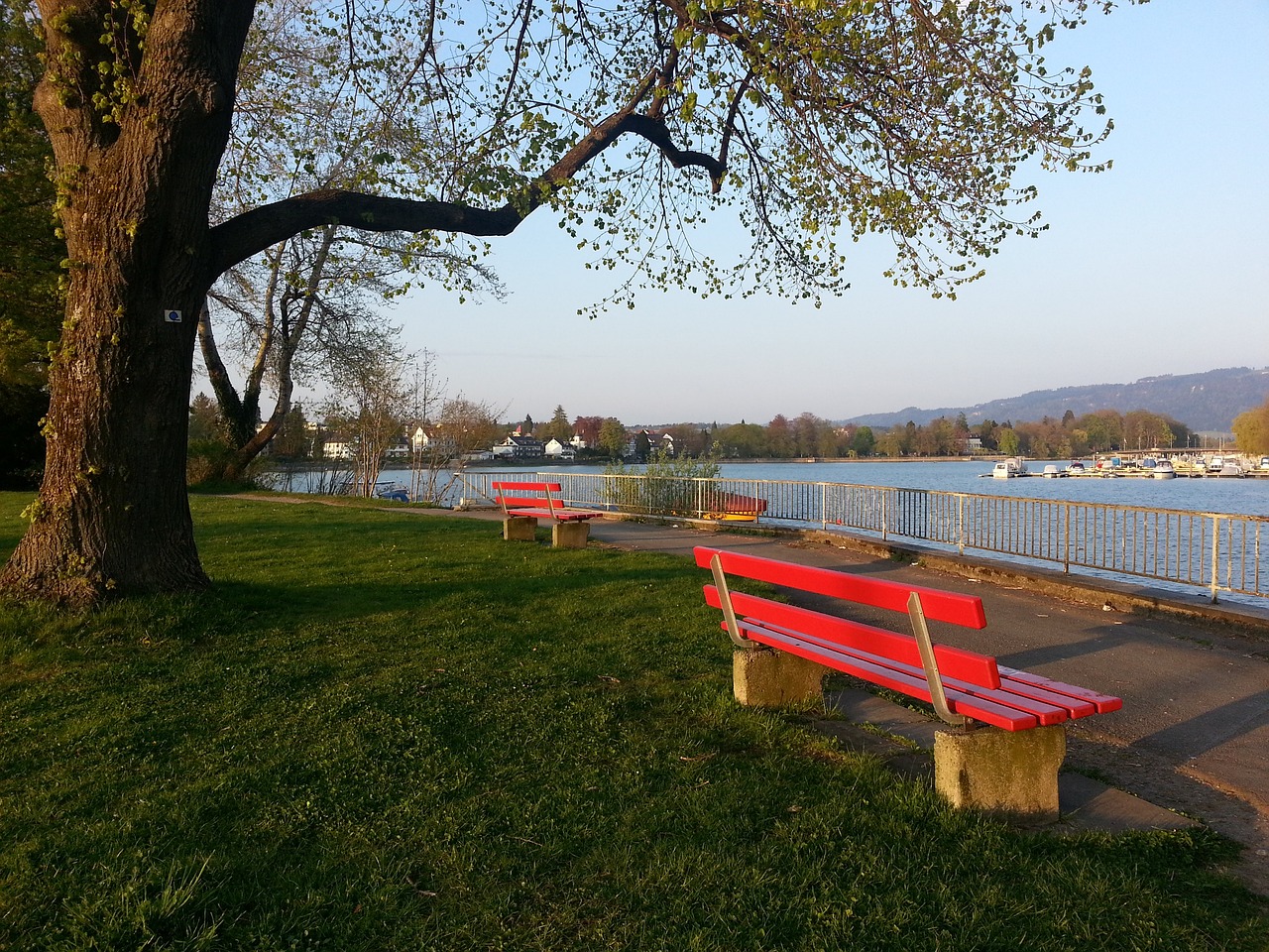 国乒坛年轻 国乒坛年轻